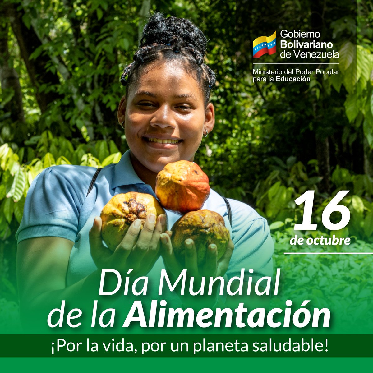 ¡Día Mundial de la Alimentación!

Aplaudimos los esfuerzos de la Revolución y el Pdte. <a href="/NicolasMaduro/">Nicolás Maduro</a> para garantizar este derecho al pueblo. 

Desde el @MPPEDUCACION reivindicamos el derecho a una alimentación saludable, sostenible e inclusiva.