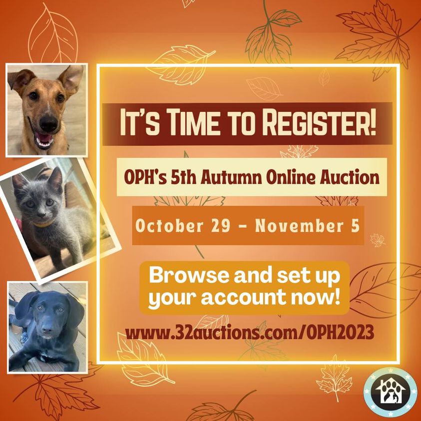 OPH’s 5th Annual Autumn Online Auction is in two weeks! 

Browse the 400+ #donated items now and save your favorites!

It only takes a minute to set up an account so you’re ready to #bid on October 29th! 32auctions.com/OPH2023

#adoptdontshop #fundraiser #cutedogs