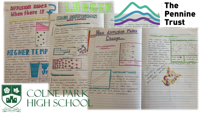 park_high_colne's tweet photo. Exceptional pieces of independent work to start the week for Year 9 Biologists #Eagertolearn #LearningJourney #LearningWalk @AQAbiologyGCSE @ThePennineTrust https://t.co/VFOXIIF3KT