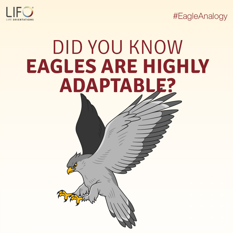 LOrientations's tweet photo. Eagles are renowned for their extraordinary adaptability, unwavering strength, fearlessness, and unparalleled long-distance vision.

Explore the wisdom of the Eagle mindset and equip yourself for seamless adaptation.
Download Here: https://t.co/Te9eHDiISX https://t.co/xthmexXvOC
