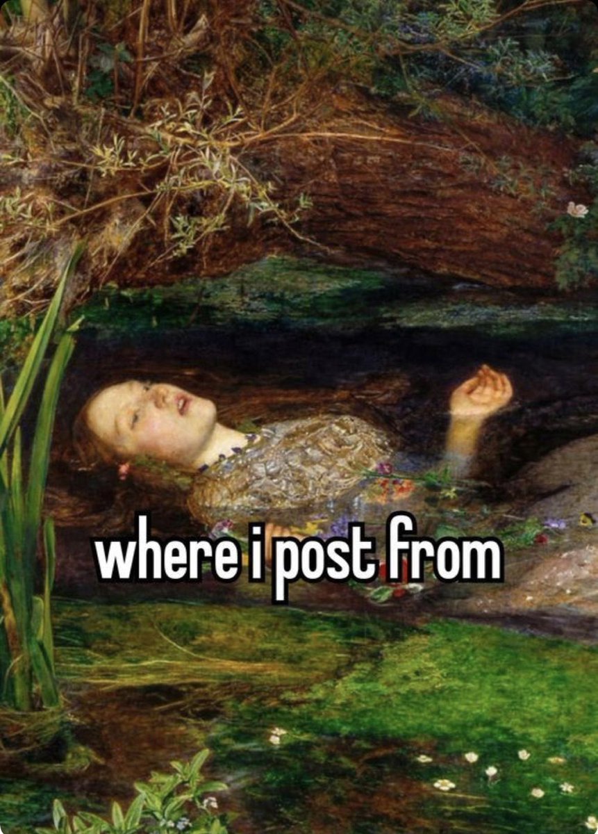 🫧sigrid hycynth🫧 tweet media