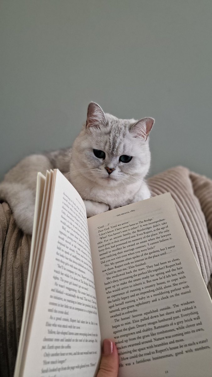 b_bookaholics's tweet photo. @MichaelJBooks Always keeps me company while reading https://t.co/Ny2w8eQXlO