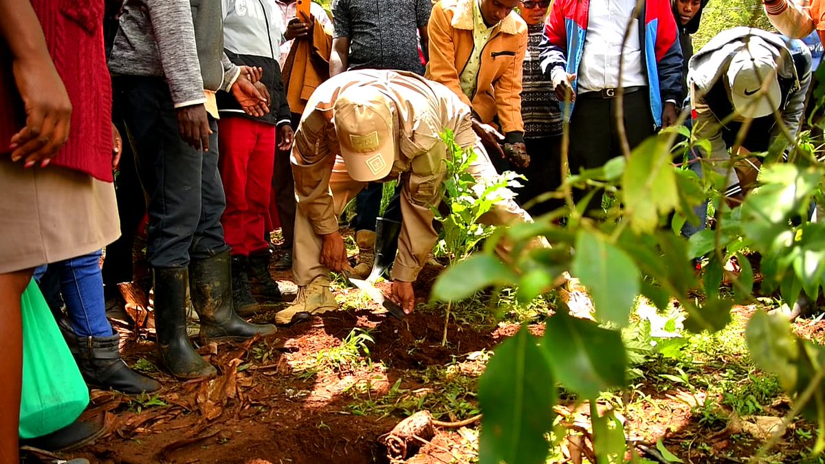 DanKiili's tweet photo. The Late,Prof. Wangari Maathai,a celebrated environmentalist once said“when we plant trees, we plant the seeds of peace and hope”.Today I launched the tree planting program at Mporoko Swamp in Njia ward of Igembe Central which is in line with President's Climate change Initiative https://t.co/dZb7Tn8q0U