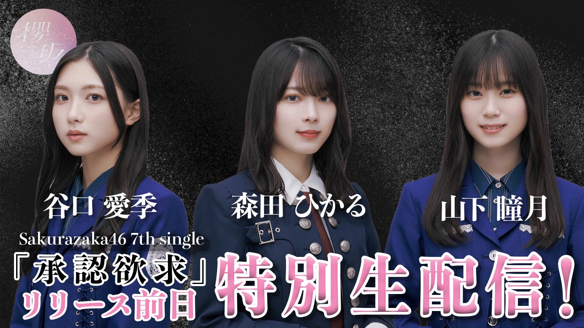 櫻坂46 on X: 
