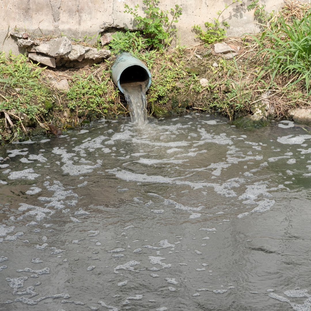 One barrel of rainwater is one less barrel of stormwater pollution headed to our waterways. Find out how you can incorporate #rainbarrels into your yard to decrease polluted stormwater runoff. #OnlyRain 
onlyrain.org/team-1/stormwa…