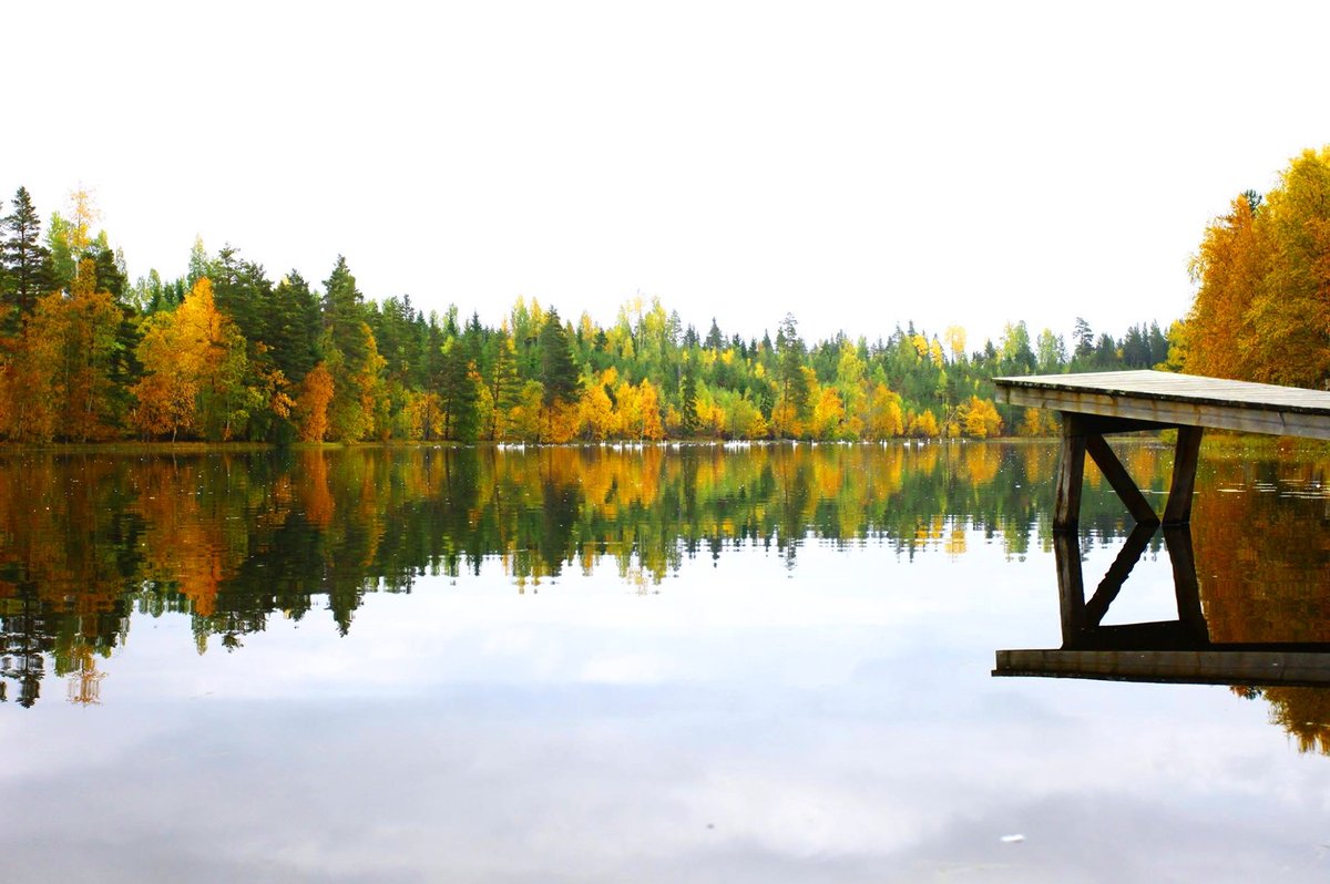 🍁 Beim letzten Memory Monday haben wir den Herbst in all seinen Facetten betrachtet! Ein herzliches Dankeschön an Simone Weißwange, Dirk Leidecker, Chantal Anders und Jens-Werner Dettmann für eure beeindruckenden Aufnahmen!

Nächstes Thema: "Melancholischer Herbst" 🌧️📷