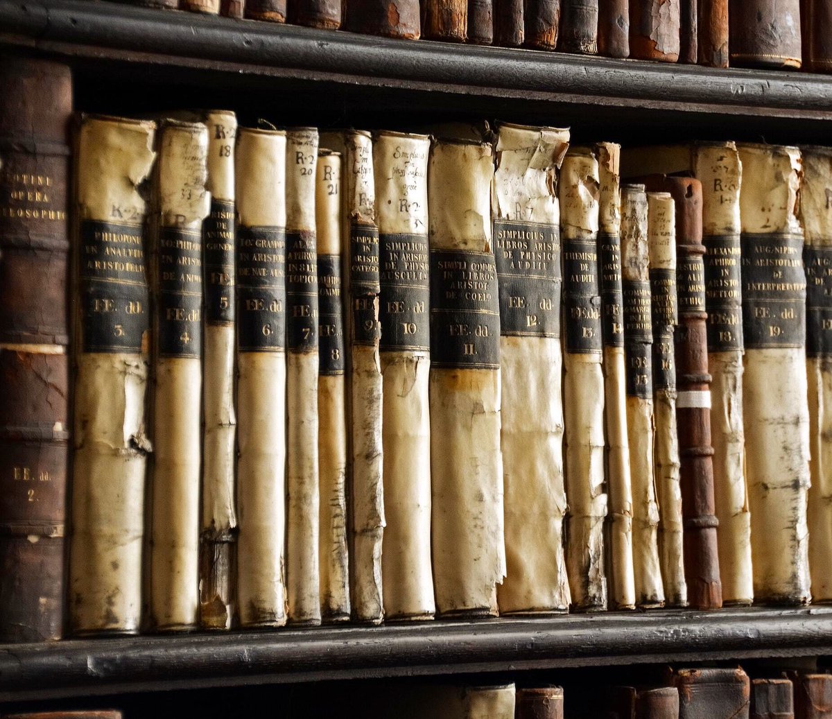 Visit CollectorsWeekly.com to read the newly published article about the Vatican Archive – one of the world’s largest archives of historical documents and books🌟 

#valuemystuff #vms #valuation #valuations #appraisal #appraisals #barnebys #collectorsweekly #art #antiques