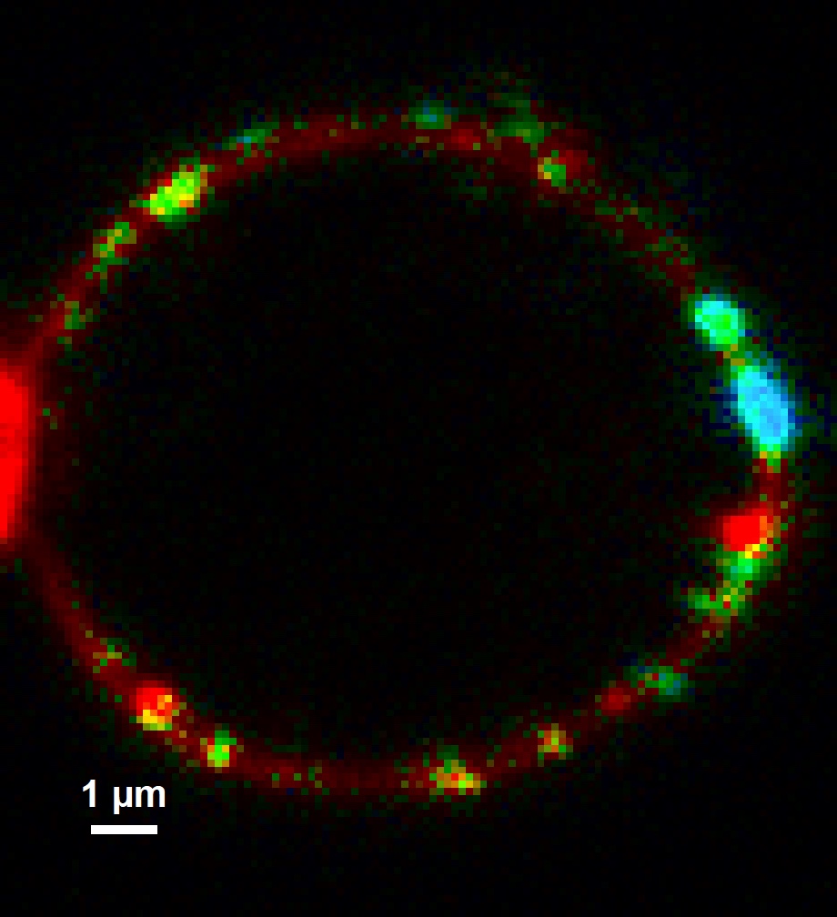 Nick Talbot tweet media