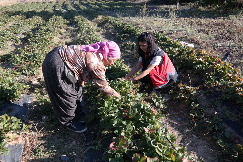 antalyailtarim's tweet photo. #iBRADI
#15EkimDünyaKadınÇiftçilerGünü Kutlu Olsun.💐
Bizi, ailemizi ve Dünya'yı besleyen kadın çiftçilerimizin günlerini kutladık.
#GelecekTarımda
#TarımAntalyada
#DünyaKadınÇiftçilerGünü
@FratErkal
@ibrahimyumakli https://t.co/34xHVwPb8l