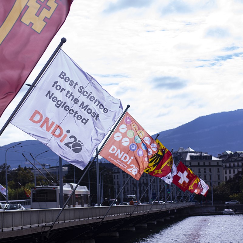 DNDi's tweet photo. Flying the flag for people with neglected diseases! 🏳️
From today until Sunday 21 October, Geneva’s Mont-Blanc bridge is adorned with DNDi flags to commemorate our 20 years of #InnovatingTogether for the most neglected. #BestScienceforAll @Geneve_int https://t.co/caTySp8DgS