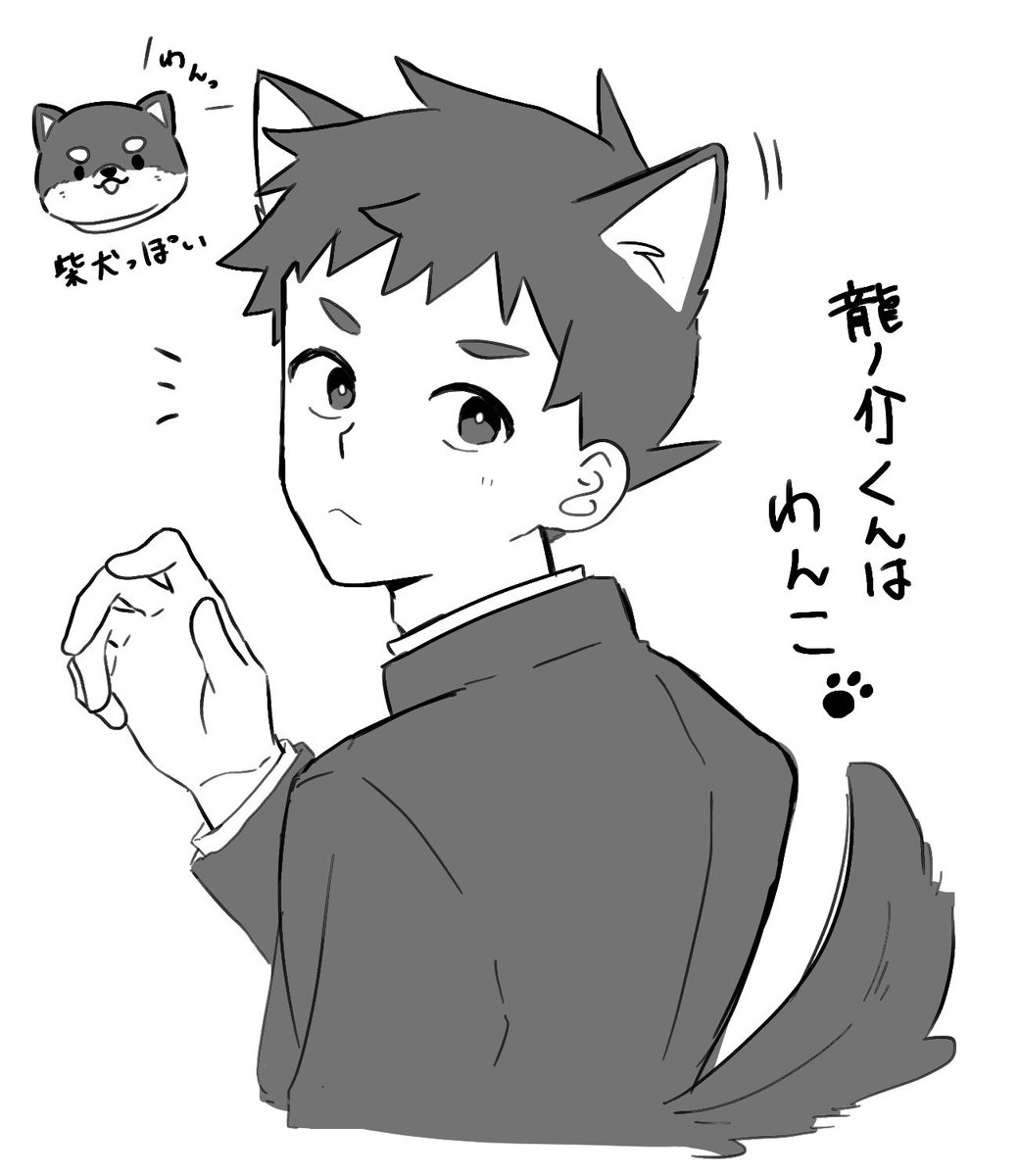 大逆転名探偵ってにゃんこ系だよね〜人懐っこい野良にゃんこっぽいよね〜って
2枚目はおまけのノスケくんわんこ 