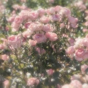 luvvsunjaywon's tweet photo. 🐇𓍢ִ໋🌷͙֒༊*·˚🍒

ೄྀ࿐ welcome to alex space ! ˊˎ-

       ‿︵୨˚̣̣̣͙୧ - 🎧 - ୨˚̣̣̣͙୧‿︵
 1:35 ───ㅇ───── 3:47

╰─▸ #mailnialexx
╰─▸ #bentanialexx
╰─▸ #alexxtradeszz
╰─▸ #alexxwantszz
╰─▸  #alexxcess

◛⑅·˚ ༘ ♡ rcbyt - https://t.co/S2AHLkhTWM https://t.co/hVG5LWM0p0