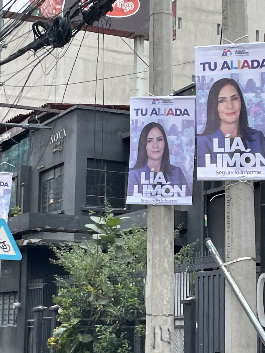 ramirezfavela's tweet photo. Enserio era necesario un anuncio en cada póster?  @lialimon #generandobasura #basura @AlcaldiaAO https://t.co/BU6S6jhBxc