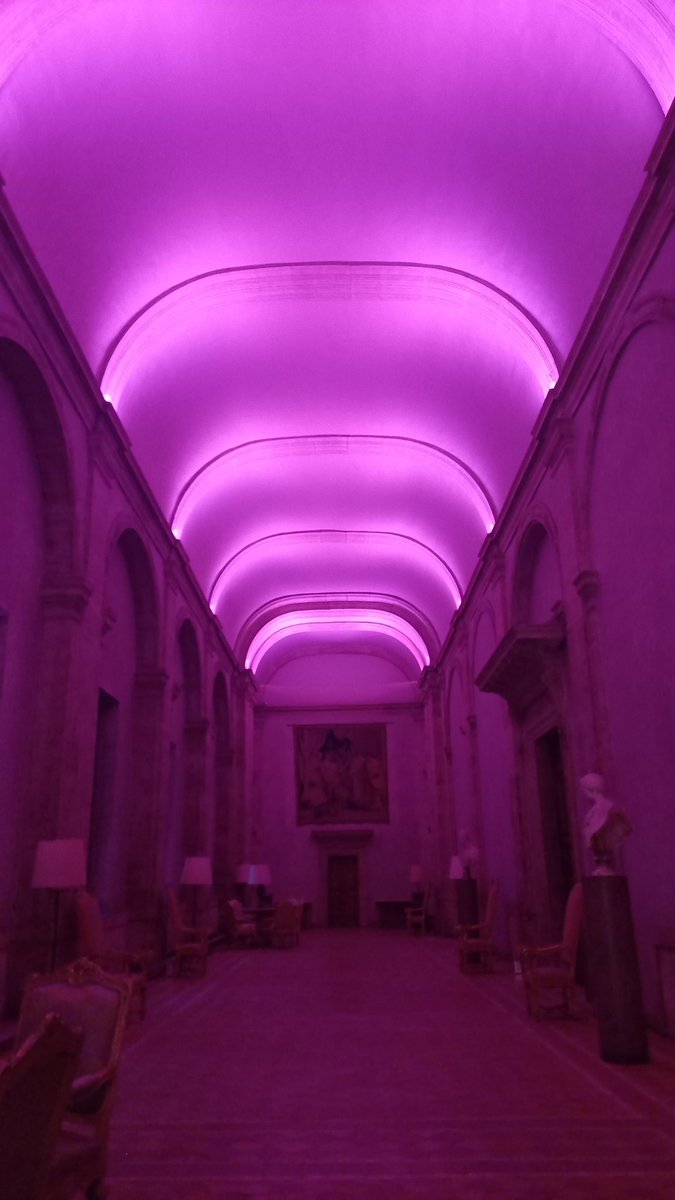 Questa sera palazzo #Farnese si veste di rosa in occasione della campagna per prevenire e curare il cancro del seno, promossa da <a href="/EsteeLauder/">Estée Lauder</a> a sostegno di <a href="/AIRC_it/">Fondazione AIRC per la ricerca sul cancro</a>. Grazie di ricordarci il messaggio di urgenza #TimeToEndBreastCancer, e sostenere ricerca e prevenzione.