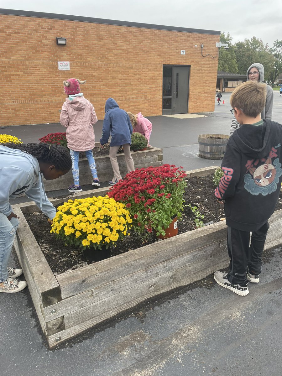 MissProvenzano's tweet photo. We had our second student council meeting today during lunch! We planned our spirit days for the year and planted mums in the garden #BeEvergreen💚☺️🍂 https://t.co/sGZEWSqF4v