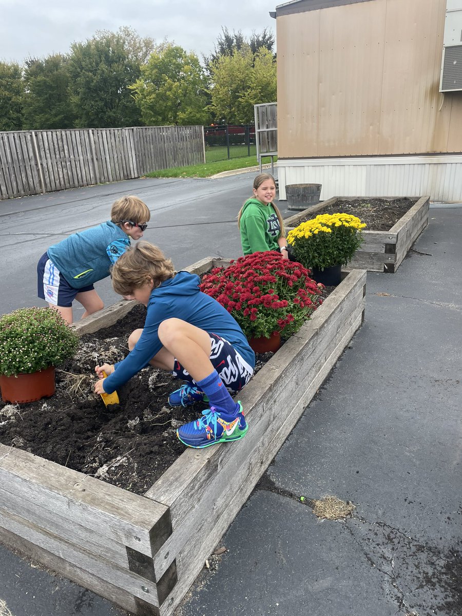 MissProvenzano's tweet photo. We had our second student council meeting today during lunch! We planned our spirit days for the year and planted mums in the garden #BeEvergreen💚☺️🍂 https://t.co/sGZEWSqF4v