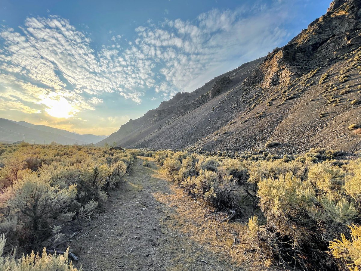 HallandHall's tweet photo. Located along the coveted East Fork of the Big Lost 25 miles from Sun Valley, this undeveloped 124± acre retreat is surrounded by national forest lands and boasts top-notch trout fishing.
https://t.co/TRQbWvLj7o https://t.co/2HpvlSJVDe