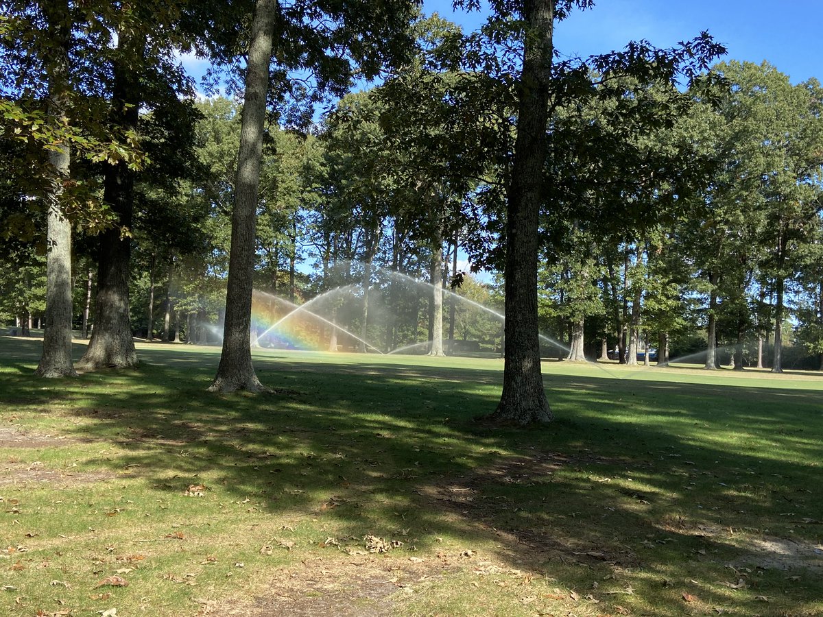 Second application of  Posterity going down for SDS.  <a href="/SyngentaTurf/">Syngenta Turf US</a>