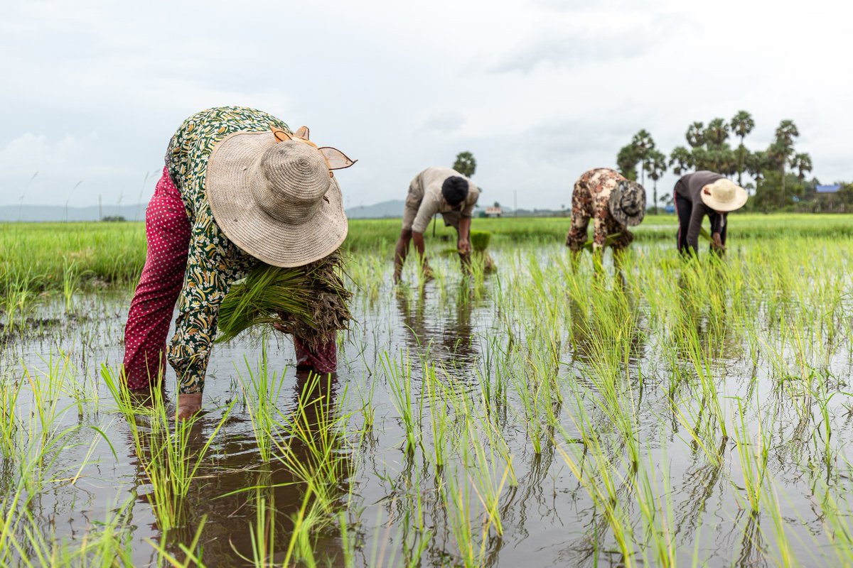 Water is life, water is food. But, challenges supplying the water needed to grow our food are emerging as the climate changes, the population grows, and demand for already scarce water resources increase. This #WorldFoodDay, it's time to start managing our most valuable