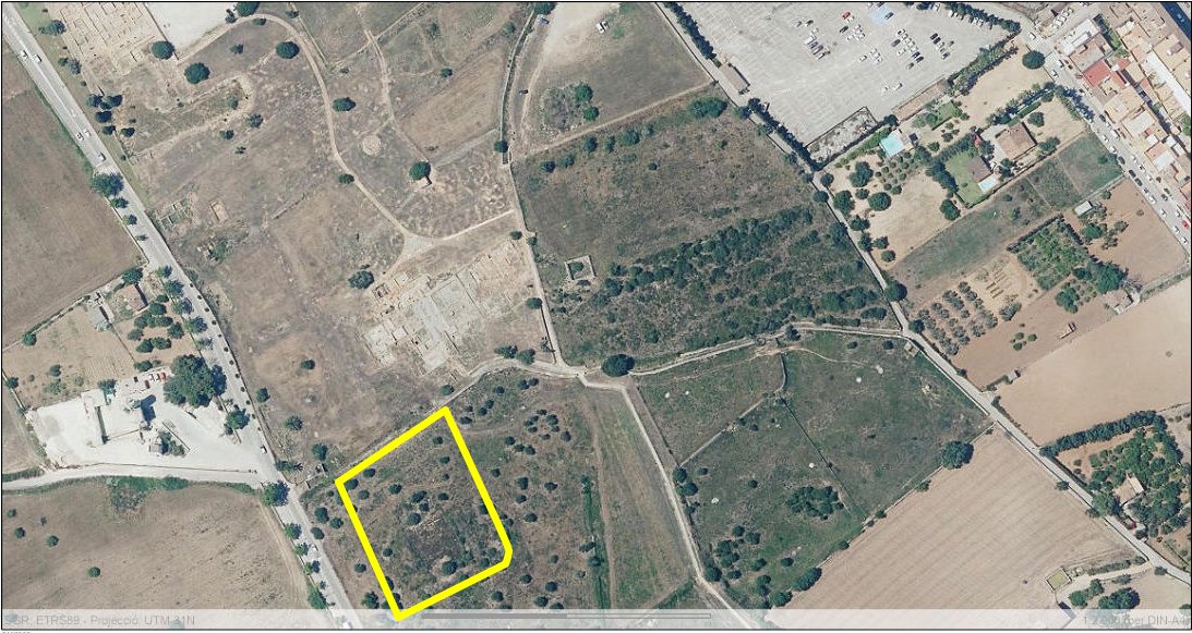 Entre final de setembre i principi d’octubre de #Pollentia1923, Gabriel Llabrés dirigí els treballs cap a una nova parcel·la, propietat de la família Costa i Llobera: Santa Anna de Can Costa. Aquí apareixerien algunes de les troballes més emblemàtiques de Pollentia.