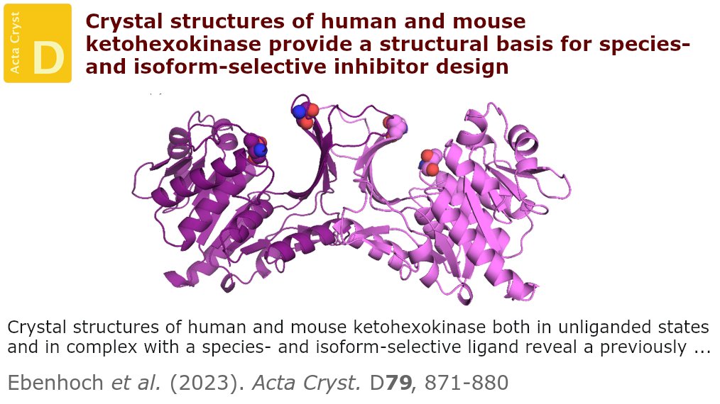 ActaCrystD's tweet image. Known ketohexokinase inhibitors cannot distinguish between the two related enzymes KHK-A and KHK-C. Here, a small-molecule inhibitor that binds more potently to KHK-A compared with KHK-C is characterized. #Ketohexokinases #KHKInhibitors #Selectivity doi.org/10.1107/S20597…
