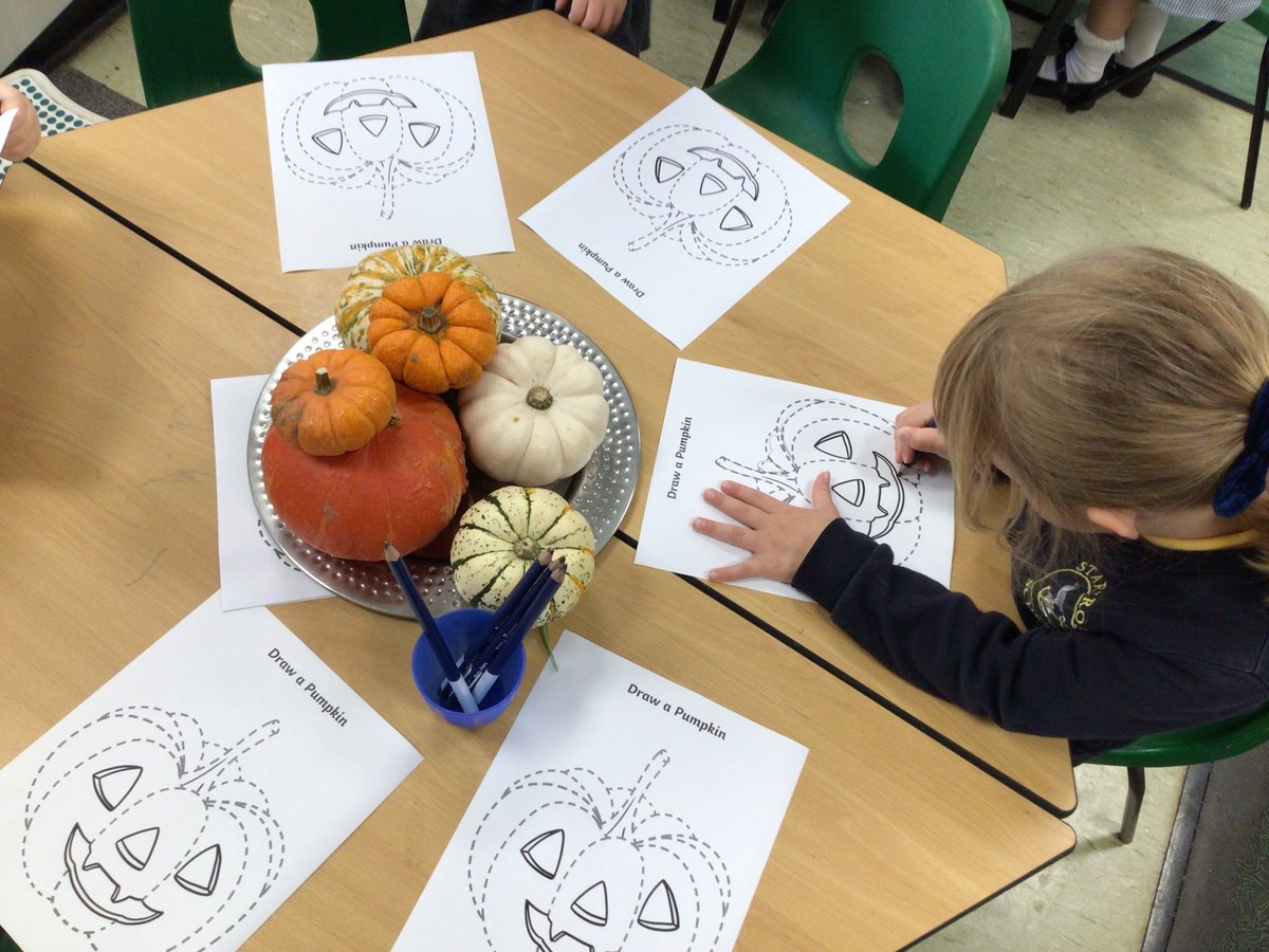 Starcross School tweet media