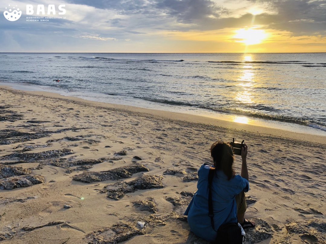 BiodivAssoc_AS's tweet photo. #InsightBAAS
What is your Turtlebook ID? Add me!!

In this month’s insight BAAS, we would like to introduce the TurtleSpot TW cofounder and TIGP Ph. D candidate Chia-ling Fong (海龜姊姊). https://t.co/sX1CtEfKQN