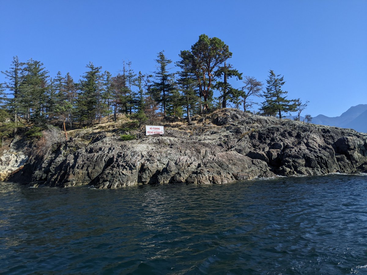 HoweSoundBRI's tweet photo. This month, @bcmarinelife hosted us, @squamishnation, District of West Vancouver Parks, West Vancouver councillors, and @FishOceansCAN on a boat tour to discuss improvements to No Fishing zone signage at Whytecliff Park.
📷 MLSS
#HoweSoundBiosphere
#bringbackbiodiversity https://t.co/MlWmoWNmLv