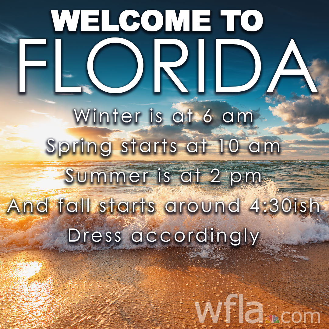 You thought Florida didn't have seasons? Think again! 😆🍂 bit.ly/46OnlKQ