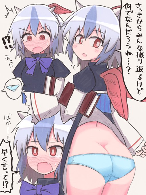 見えてる事に気付いてないのも良いけど見えてる事に気付いて恥ずかしがってる所までがセットだと力説したい
#東方project 