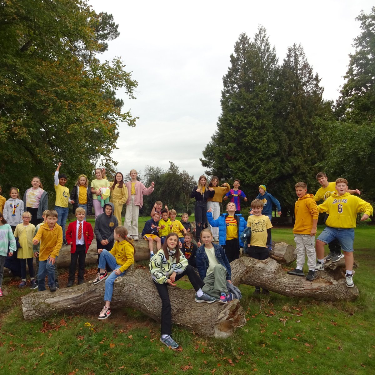 WestbrookHaySch's tweet image. Yellow clothes today for Electric Umbrella! The charities committee raised £2,700 last year and this year's committee led by Max and a committed 20 other pupils, is aiming higher! Electric Umbrella empowers learning-disabled individuals through music events and workshops.
