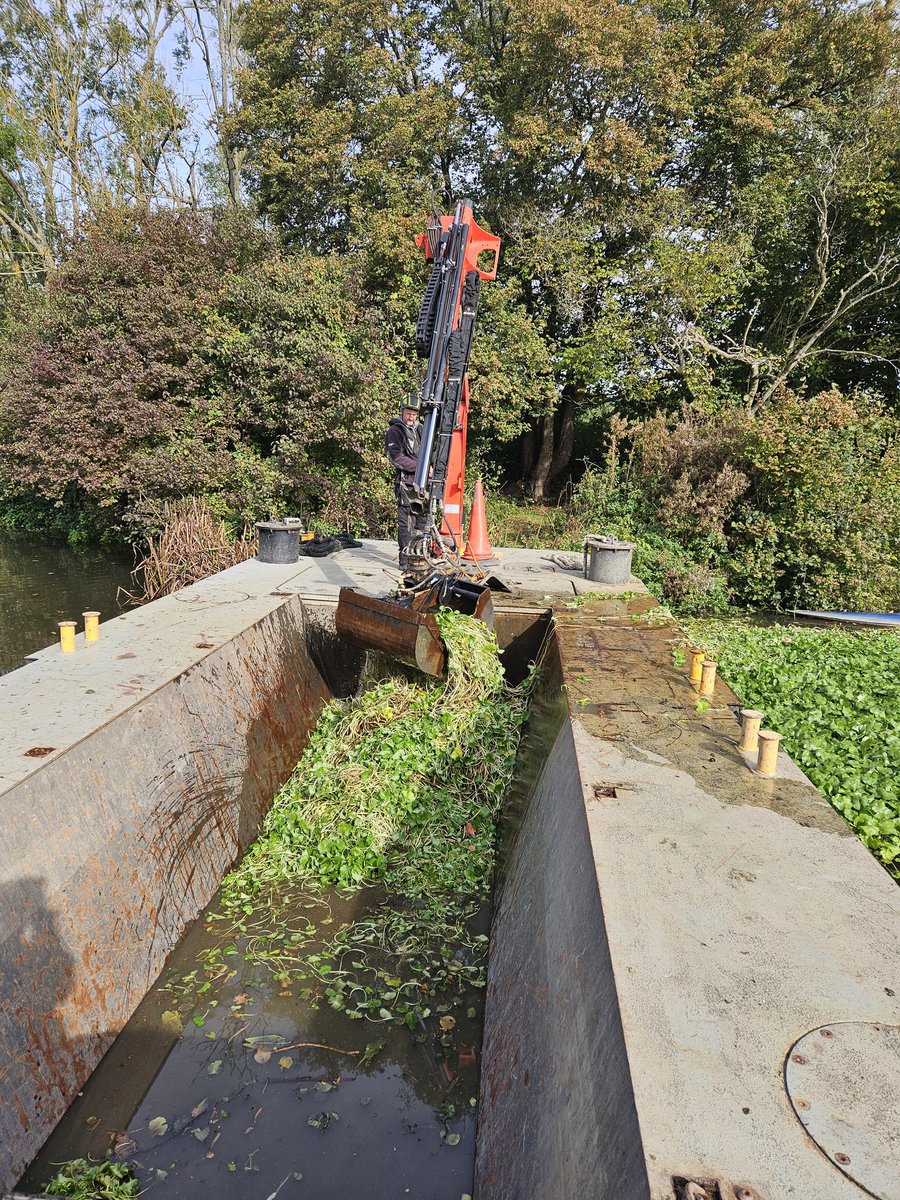 Medway Valley (@medwayvalley) on Twitter photo #FloatingPennywort clearance today. Many thanks to our fab' volunteers and for all the help from the <a href="/EnvAgencySE/">Environment AgencySE</a> Medway Navigation team. We removed tonnes of this #invasive species from the river today. Well done everyone. <a href="/CheckCleanDryGB/">Check Clean Dry GB</a> #FloatingPennywort clearance today. Many thanks to our fab' volunteers and for all the help from the <a href="/EnvAgencySE/">Environment AgencySE</a> Medway Navigation team. We removed tonnes of this #invasive species from the river today. Well done everyone. <a href="/CheckCleanDryGB/">Check Clean Dry GB</a>