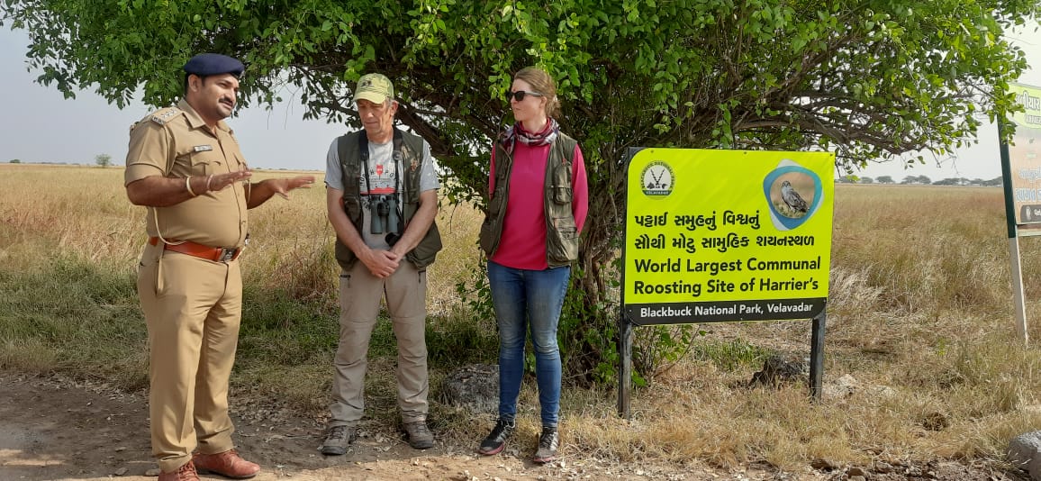 The Blackbuck National Park safari have opened today after the monsoon break!