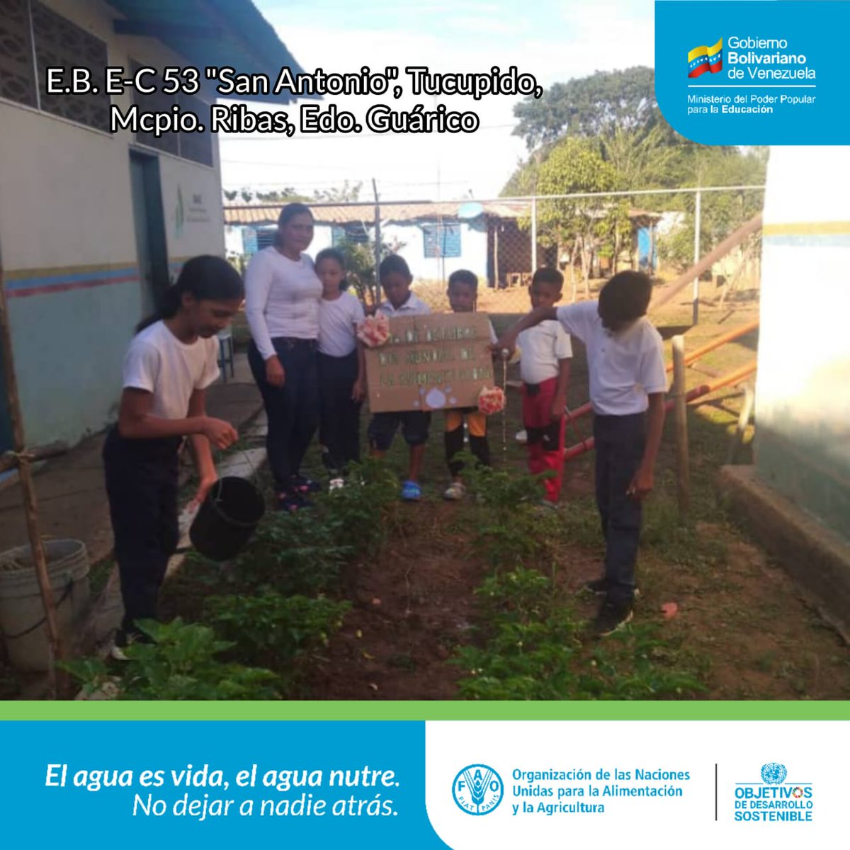 CDCEGuarico's tweet photo. Nuestra muchachada Guariqueñ@s 👧👦🏼 activos y muy contentos en el Día de la Alimentación y en el Relanzamiento de los Conucos 🌱 Escolares  "Carlos Lanz".
@NicolasMaduro
@MPPEDUCACION
@_LaAvanzadora
@Gob_Guarico
@josemvasquez
@CDCEGuarico
@EliasEducacion1
#ConMaduroMásVerdadYPaz https://t.co/fjzA2R3aqD