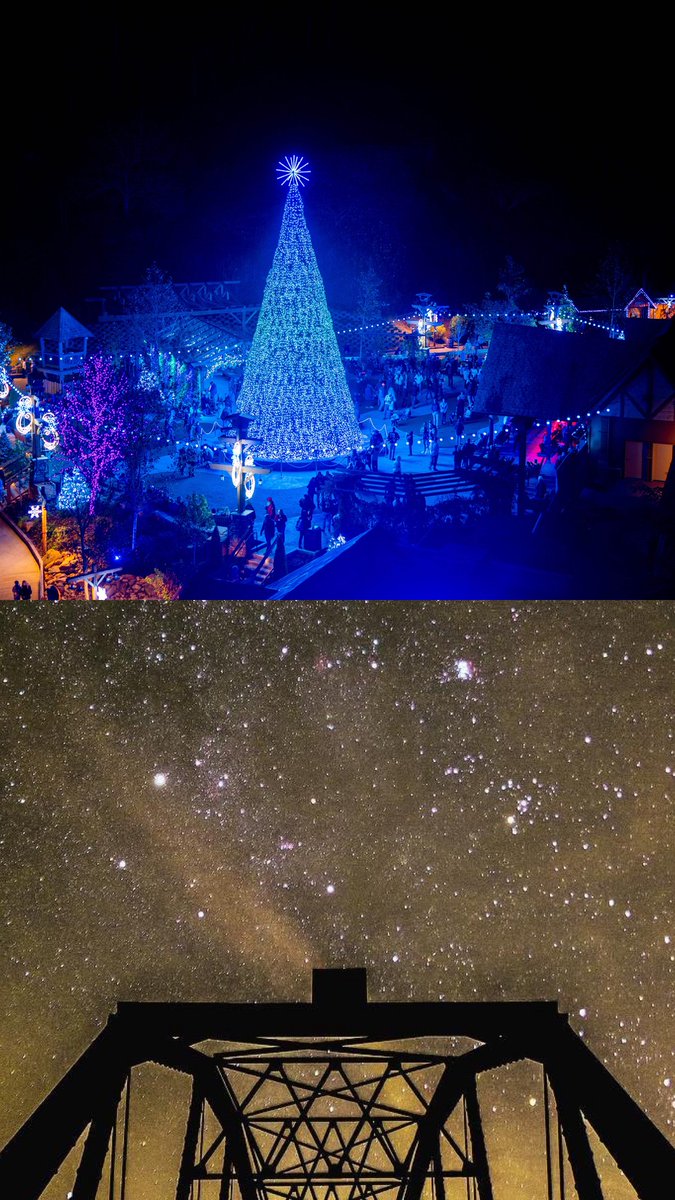 Tennessee Vacation tweet media