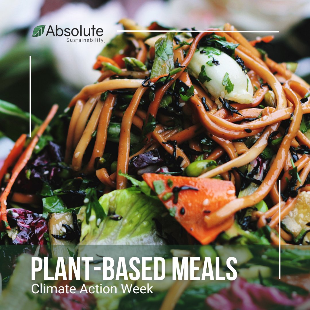 AbsoluteSustain's tweet photo. Choosing plant-based meals is one of the most effective ways to reduce your carbon footprint. This week, challenge yourself to replace meat proteins with plant-based alternatives to eat with the planet in mind. #ClimateActionWeek #plantbased https://t.co/x0zZM0xovQ