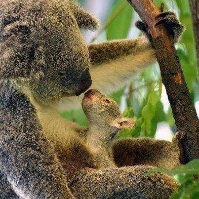 If You're a huge fan of mine
can I get a big YESS !!