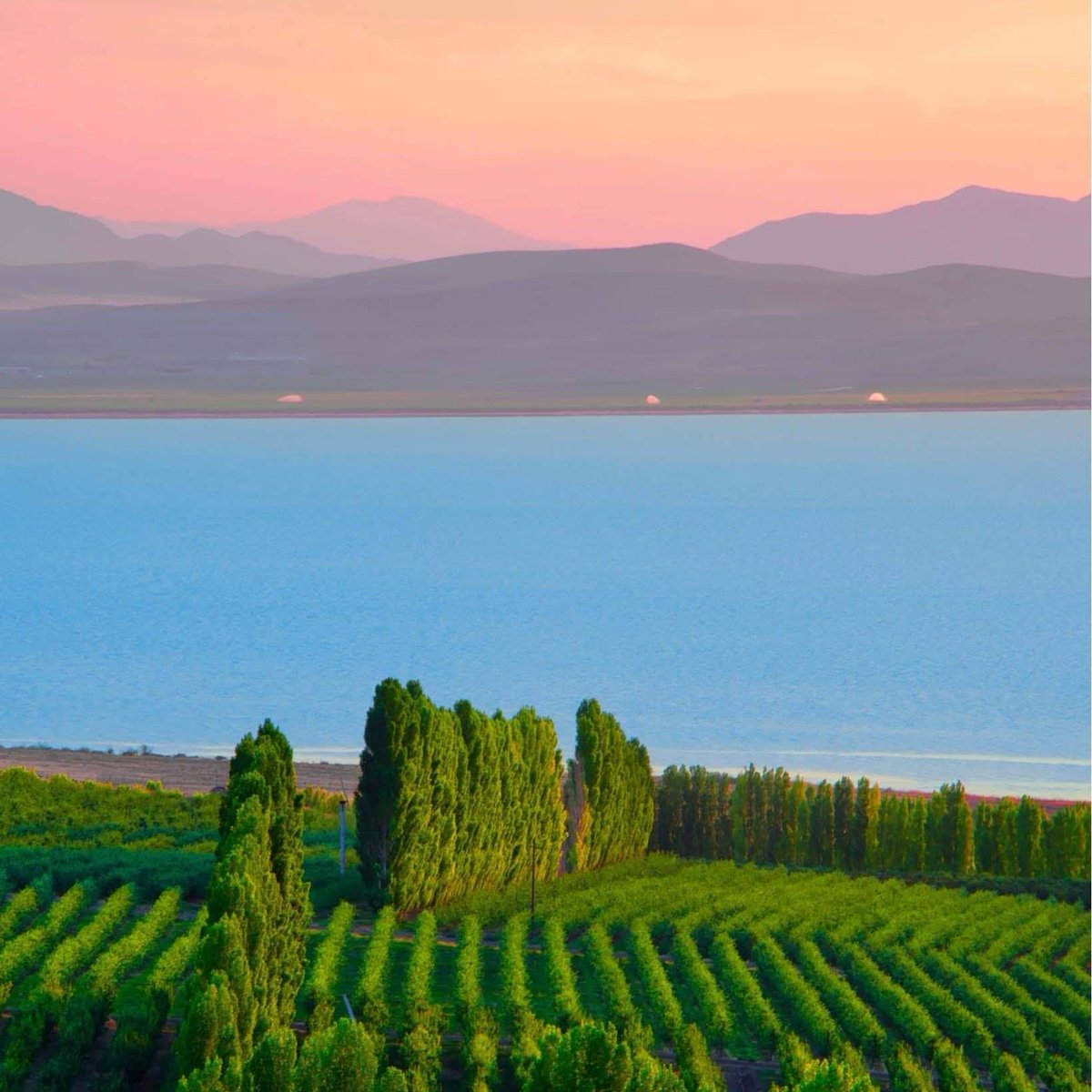 growtheflow's tweet photo. Want to start your week right? Join the movement to get water to Great Salt Lake at https://t.co/oGOPjdd6ci.

Living within our means will increase our water security and quality of life far beyond the shorelines of the salty lake we love.

#GrowTheFlow https://t.co/SLN1f2OUyy