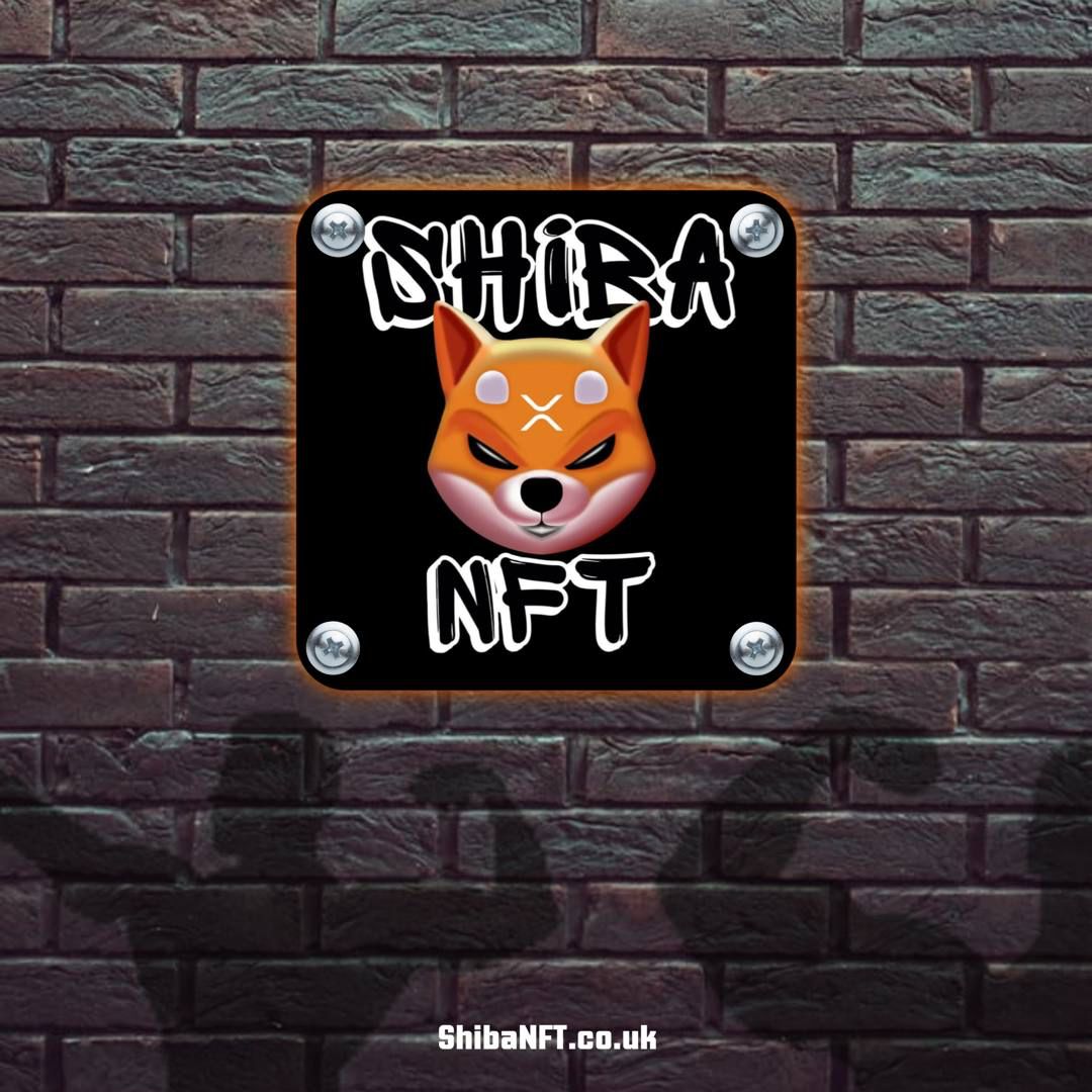 ShibaNFT tweet media