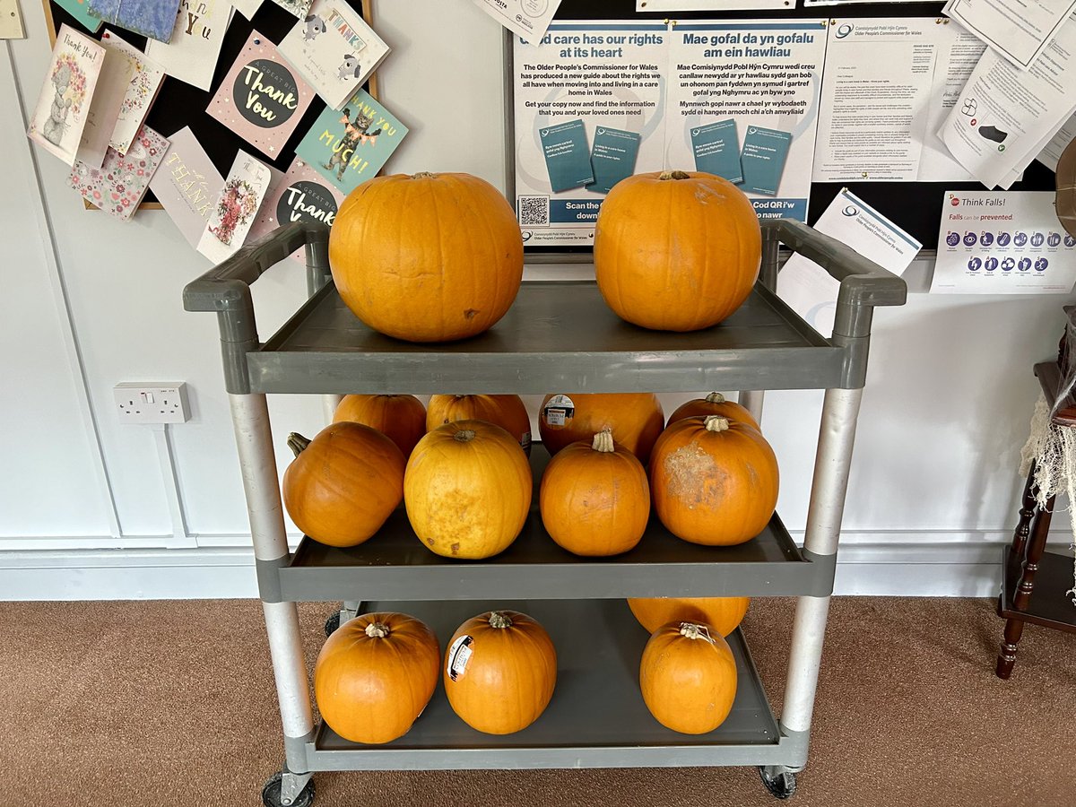 Busy busy bees today 🎃🎃🎃🎃🎃<a href="/haydht2000/">Haydn Trollope</a> <a href="/baulch_hannah/">Hannah Baulch💙</a> <a href="/BlaenauGwentCBC/">Blaenau Gwent CBC</a>