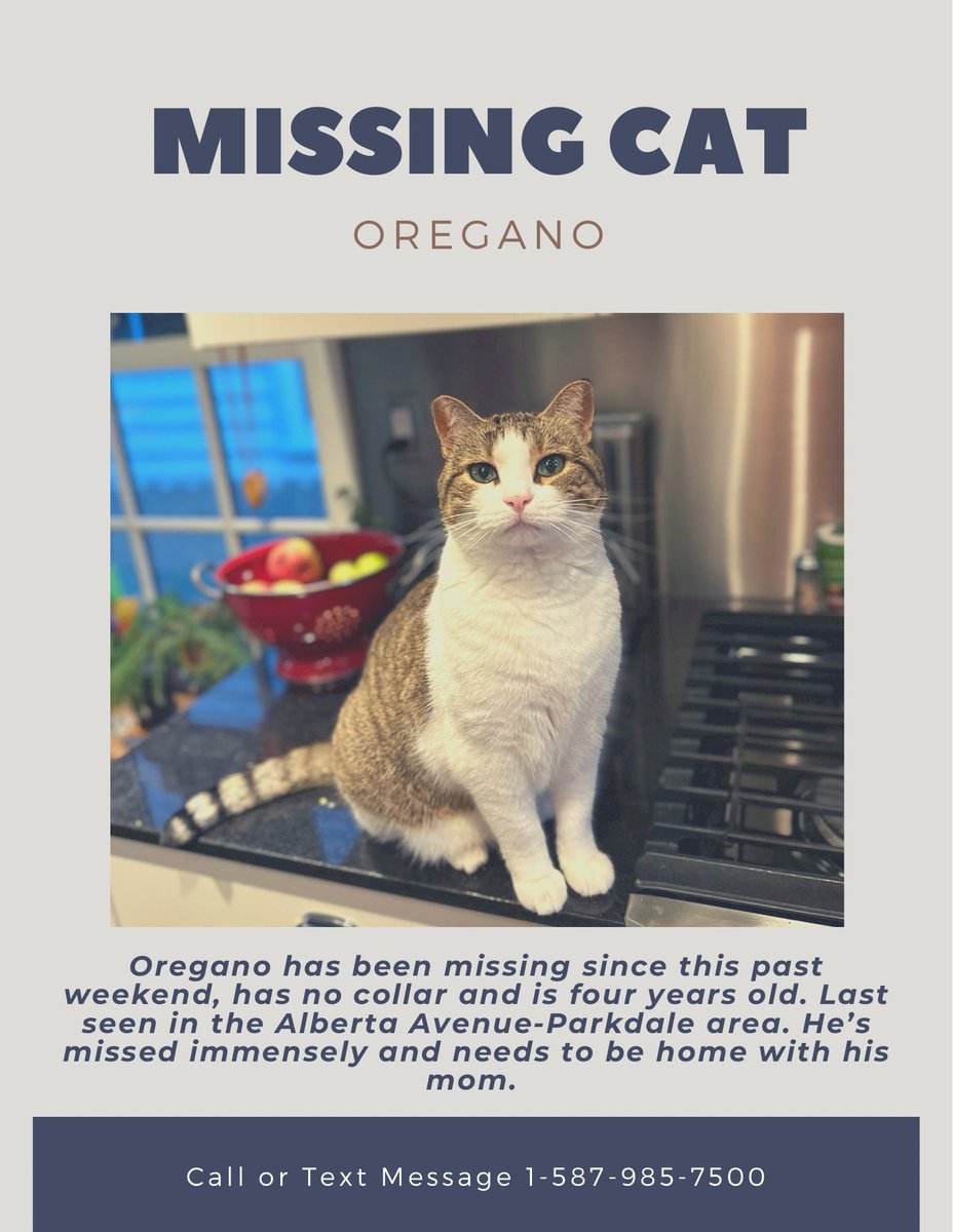 Please, if you’re in the Alberta Avenue-Parkdale area of Edmonton keep an eye out for <a href="/JanisIrwin/">Janis Irwin</a> ‘s cat Oregano.

Sure we post about the political stuff this province deals with, but this too is important. #BringOreganoHome