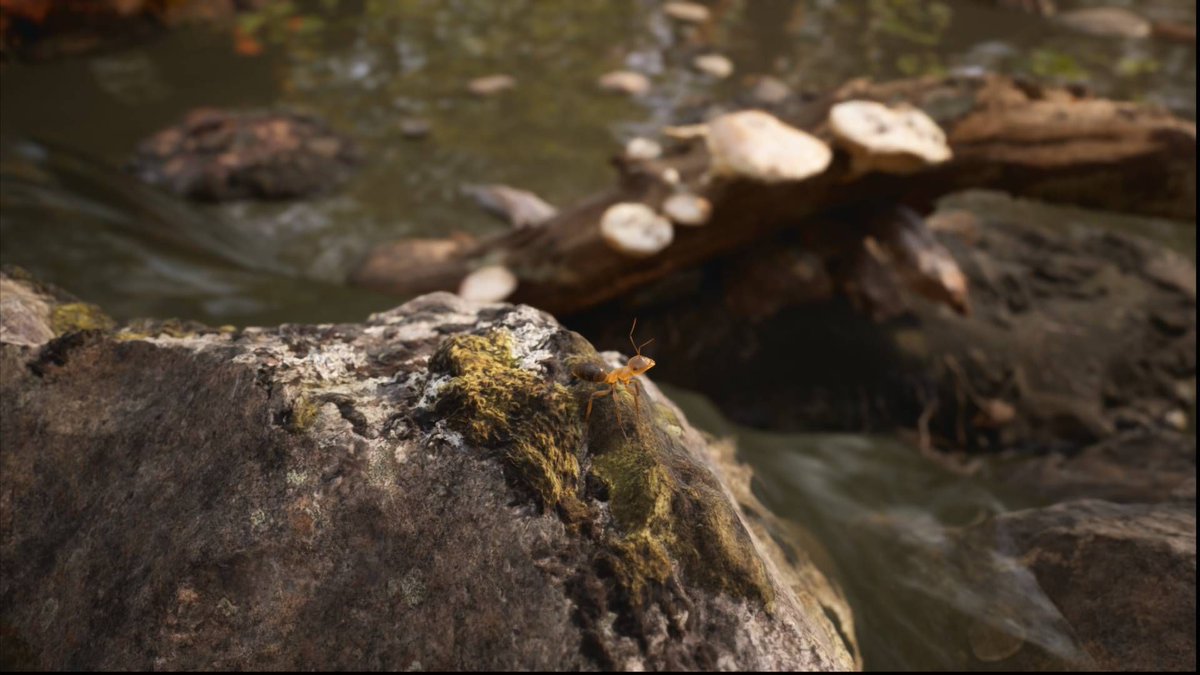 JVCom's tweet photo. Les Fourmis, le jeu tiré du roman de Bernard Werber, dévoile ses premières images ! 🐜

- jeu d'aventure et de stratégie
- Unreal Engine 5
- on incarnera la fourmi 103 683
- batailles tactiques et stratégiques
- narration basée sur le rythme des saisons
 - sortie en 2024 https://t.co/QJeqUUW4Xh