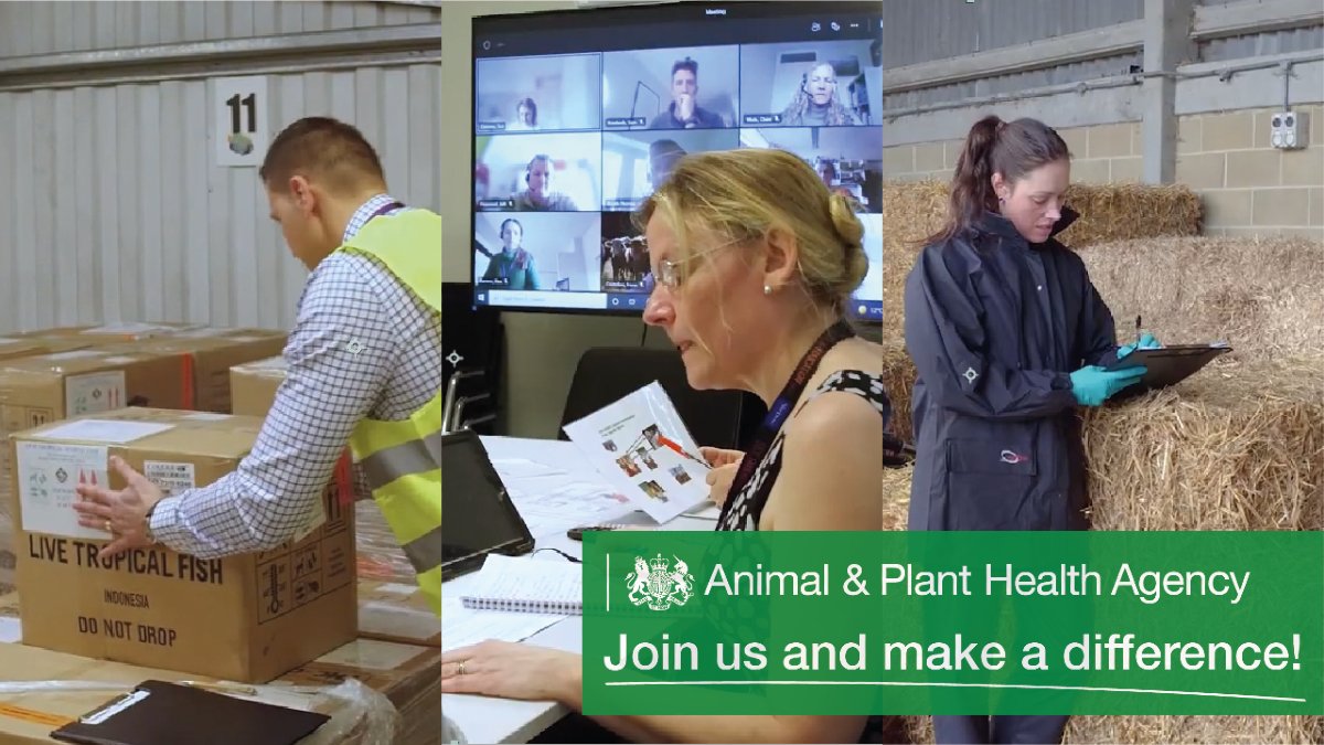 We’re seeking an #EventsManager to organise our science events based at our HQ in New Haw, Surrey. It’s a fixed term appointment until 31 March 2025. 
Salary £29,082 - £30,402, flexible working. Apply by 18 Oct 23! Job ref: 316265. Visit: civilservicejobs.service.gov.uk/csr/index.cgi?…