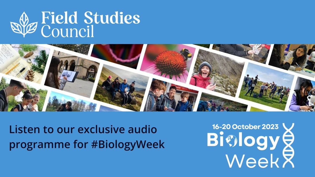 It's #BiologyWeek 💚 To celebrate we've got a fascinating audio programme to share - three of our tutors discuss their very different interests in ecology: marine ecology, freshwater ecology, and badgers! 🔉Listen here: field-studies-council.org/biology-week/ #IAmABiologist