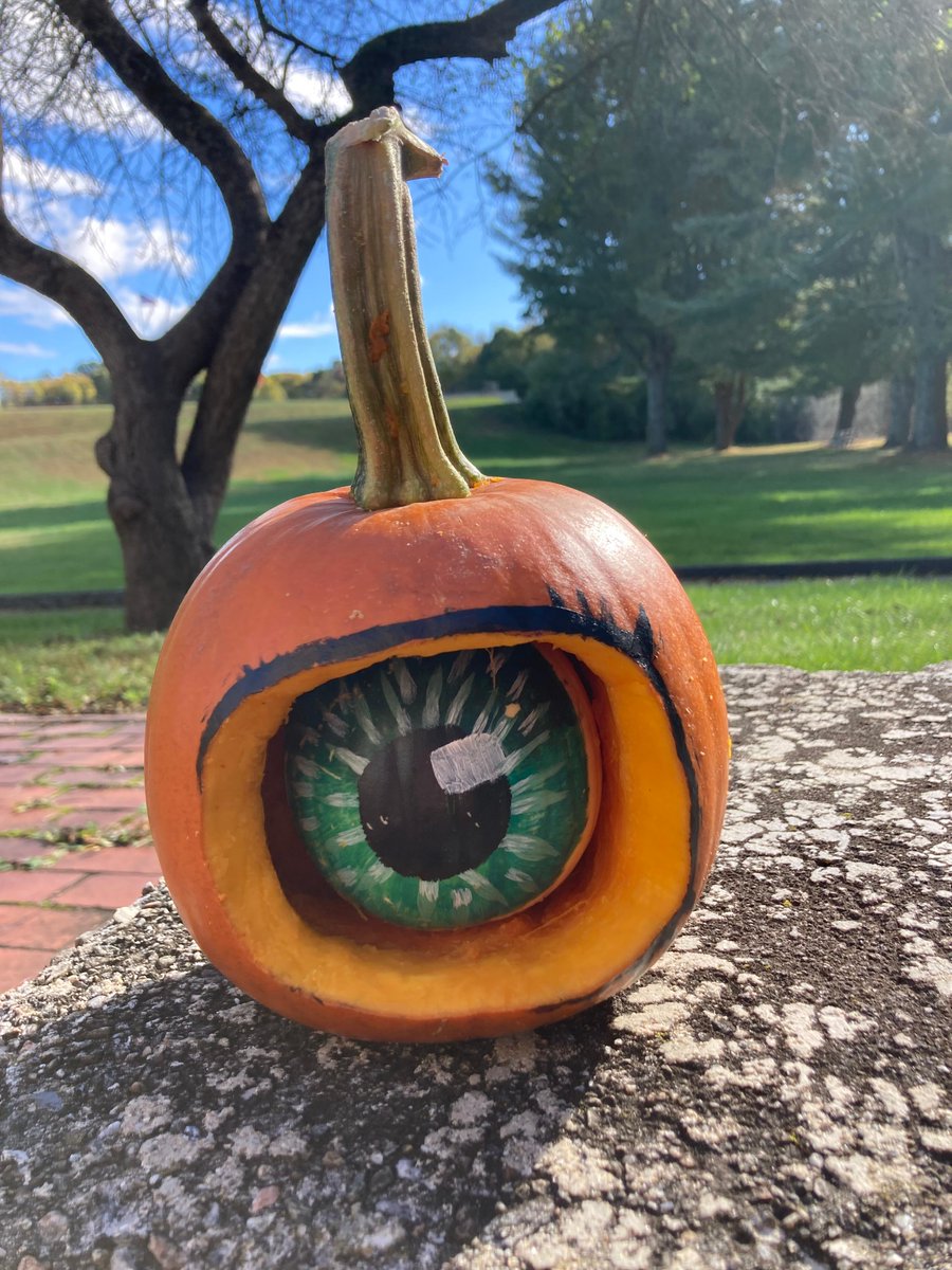 sbs_saints's tweet photo. Check out these creepy-cute pumpkin eyes created by our 8th grade artists! 🎃 

Mrs. Brenek has been challenging these students to learn the art of drawing eyes with colored pencils &amp; today they used that knowledge to create something new with acrylic paint. 🎨

#LoveBeingASaint https://t.co/wRliLuX4IX