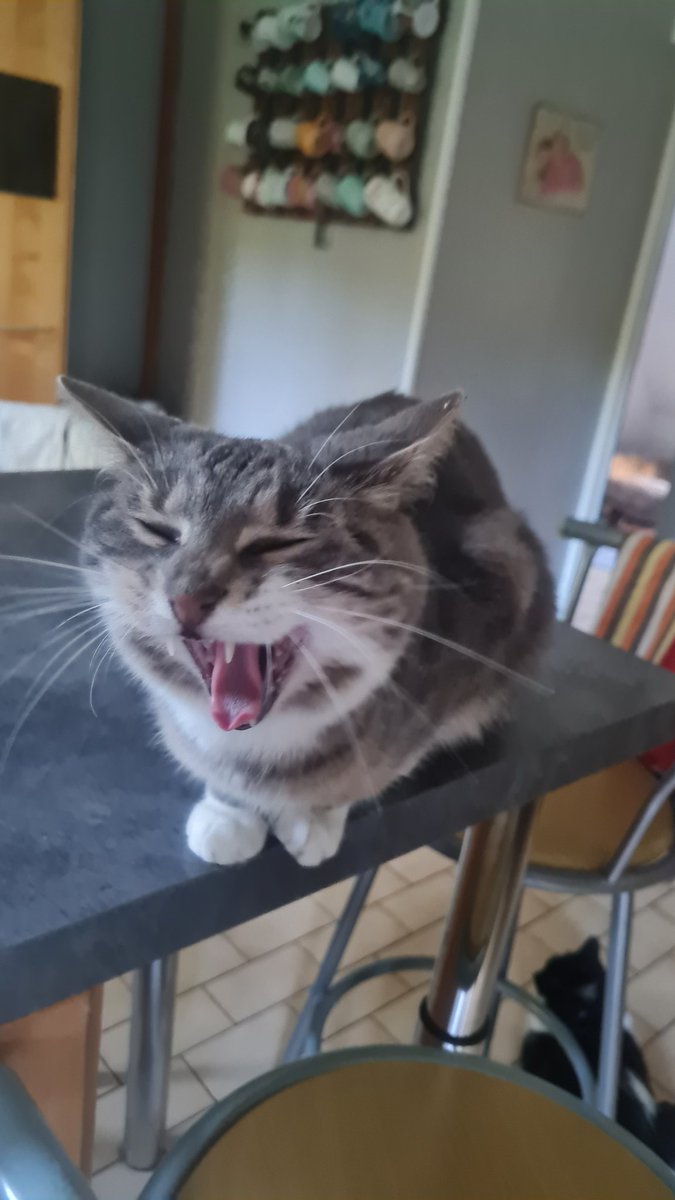 Clengear tweet media