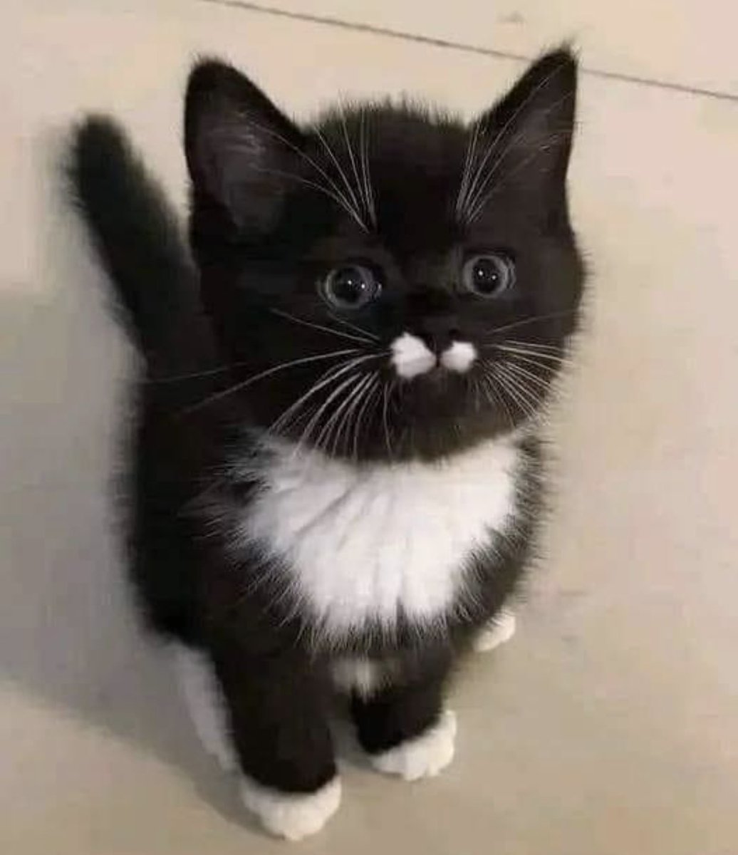 Juanita Broaddrick tweet media