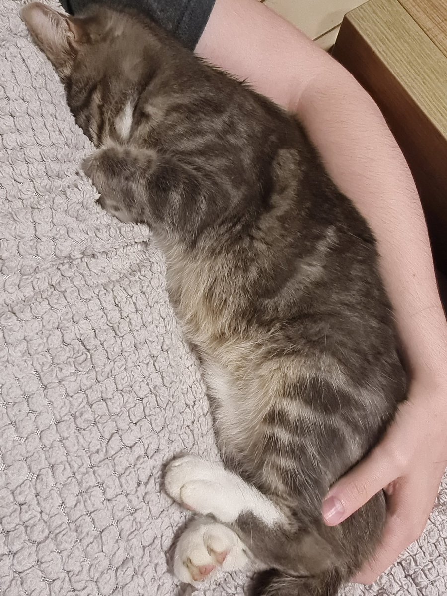 Clengear tweet media