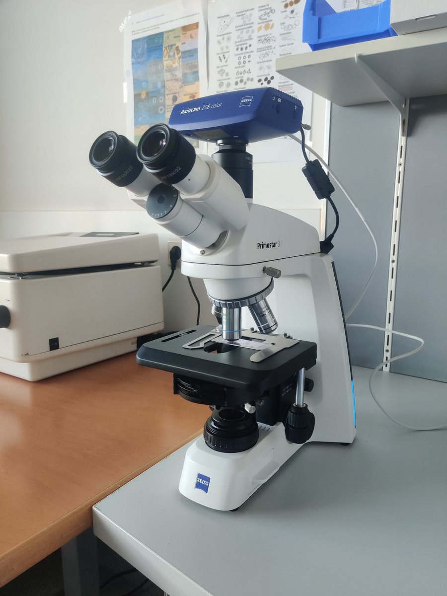 Finally we got a new microscope for #urinarysediment #urinemicroscopy  🫘🧪🔬🥳