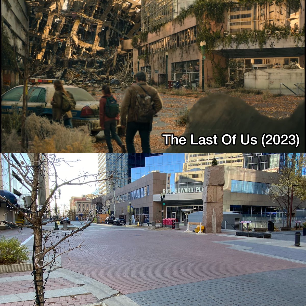 NiftyCrispy tweet media